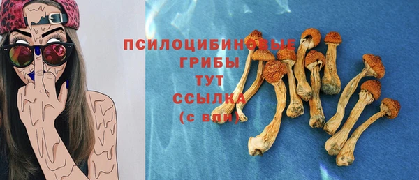 a pvp Алзамай