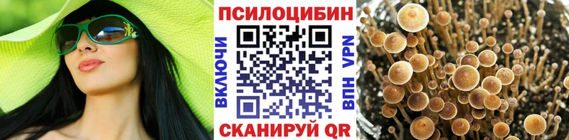 купить   Юрьевец  Псилоцибиновые грибы GOLDEN TEACHER 